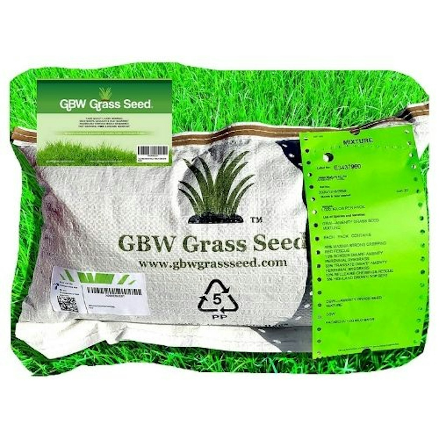 The best grass seed